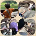 ガンジーファームに行ったよ🐄🎵【児童発達支援・大分市】